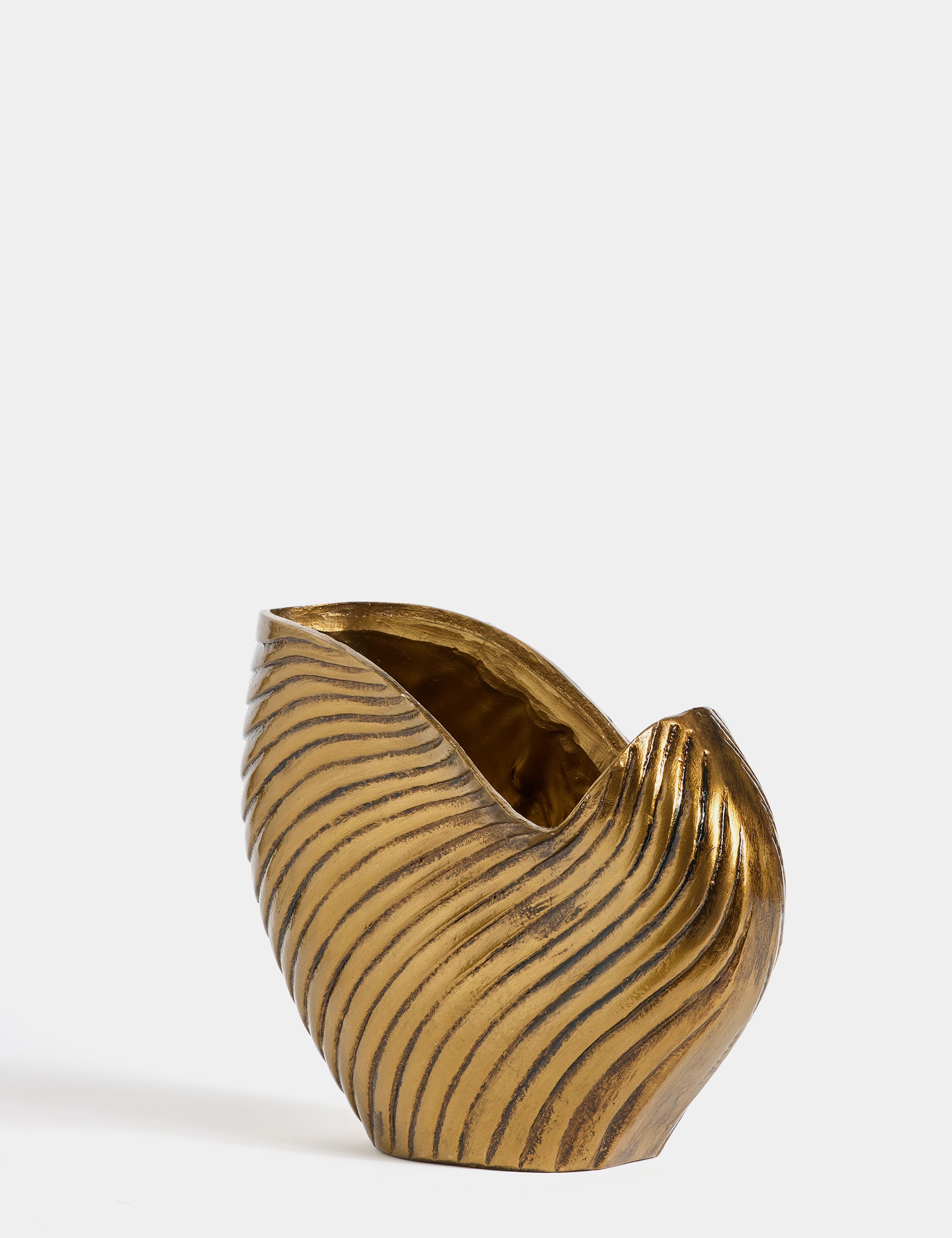 El Boyama İstiridye Biblo