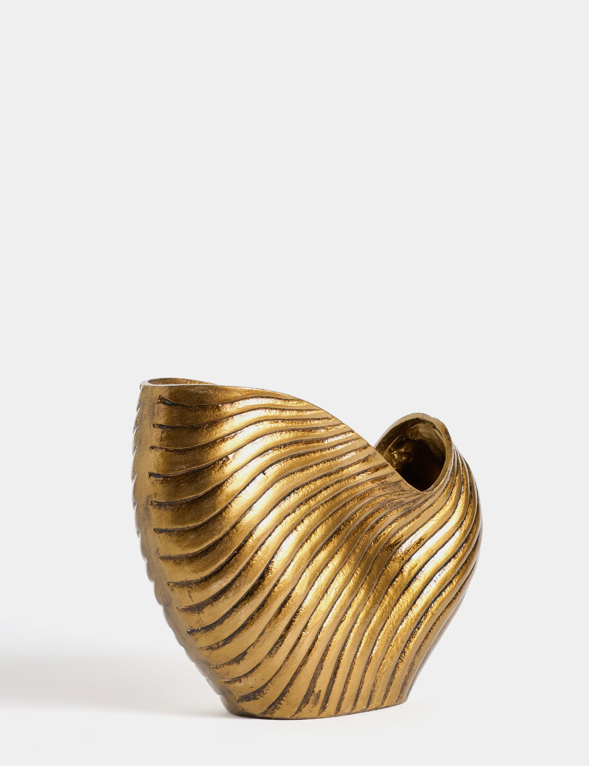 El Boyama İstiridye Biblo