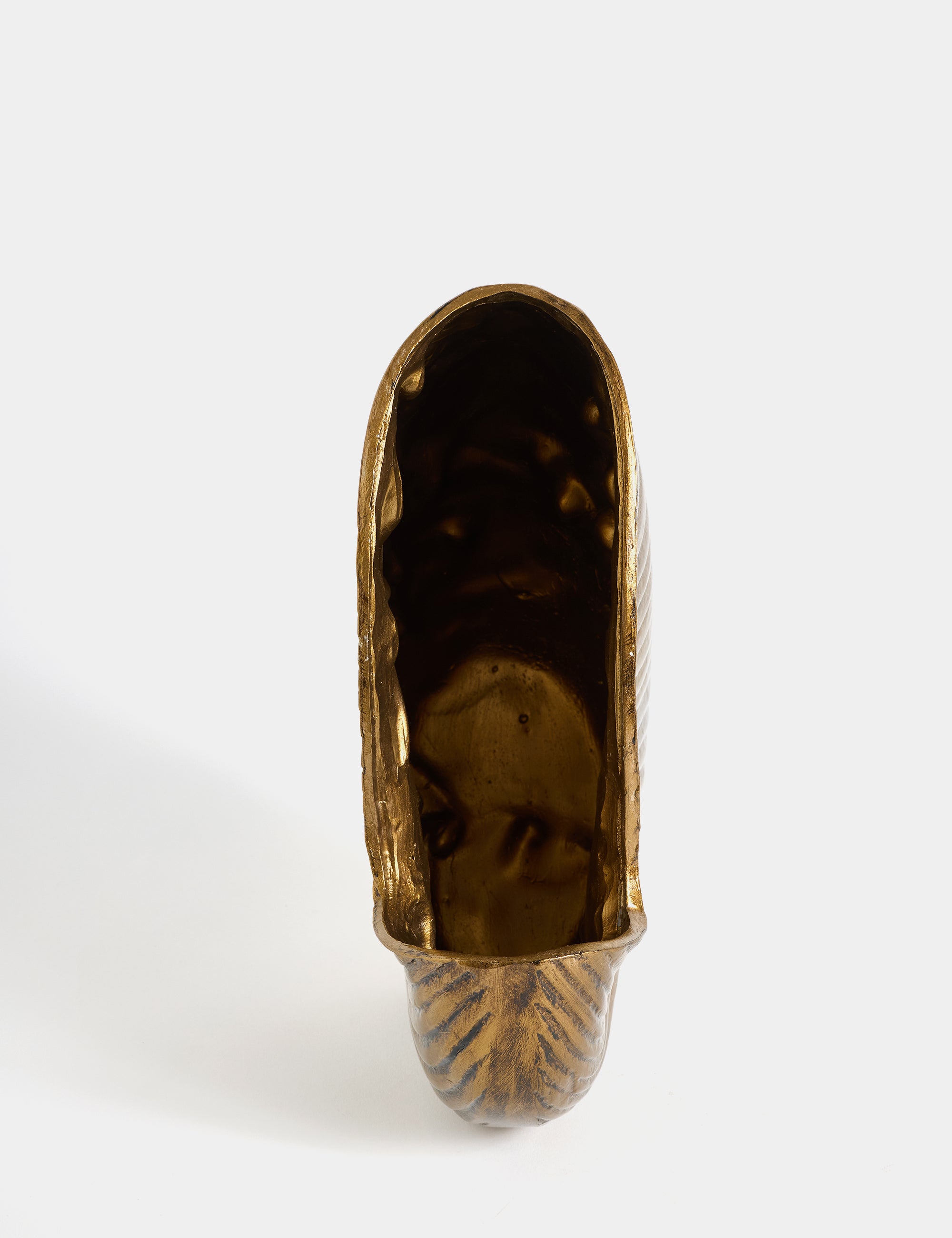 El Boyama İstiridye Biblo